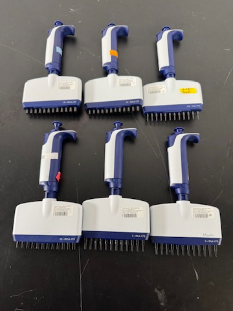 Image of Rainin Pipet-Lite XLS Multichannel Pipettes - Quantity 6